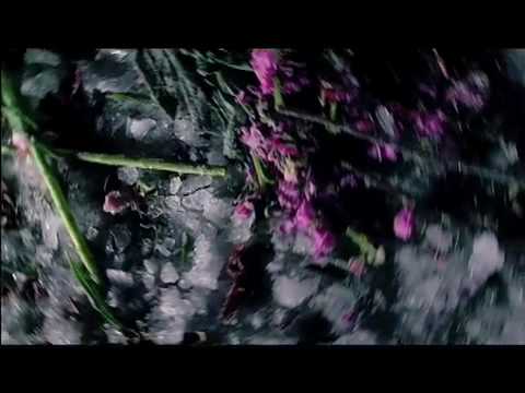 Veja o vídeo